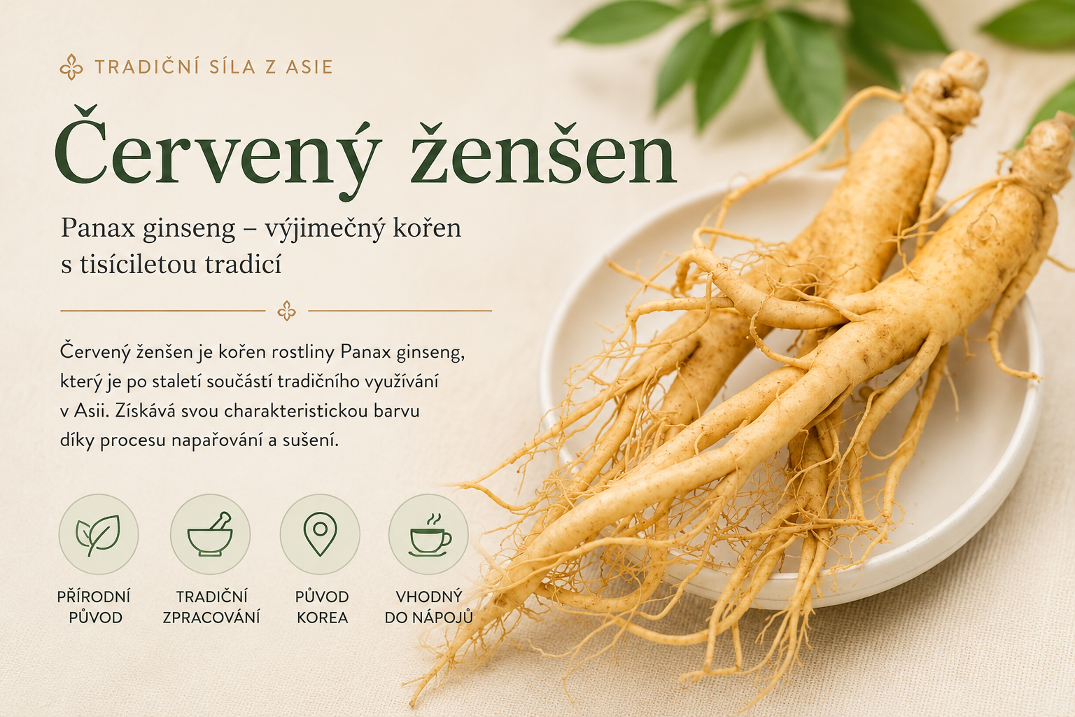 Korejský červený ženšen 